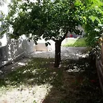 Le Galli En Plein Coeur De